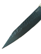 Kiritsuke kokkiveitsi
